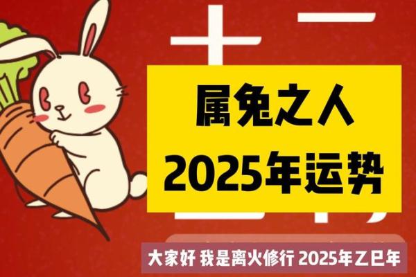 本命年属兔人如何增加学习机会