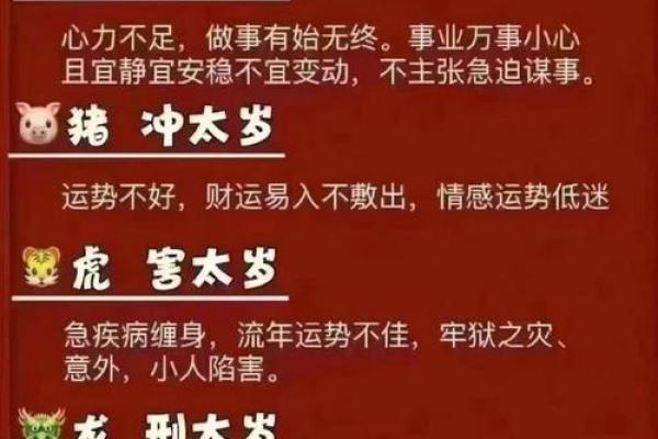 生肖与八字：从命理角度解析个人运势走向