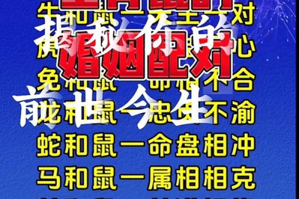 虎与鼠的婚姻是否合适？探讨生肖配对的可能性