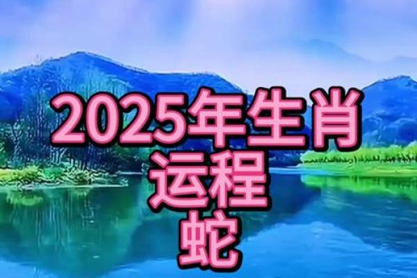 如何把握生肖蛇的财富与事业运
