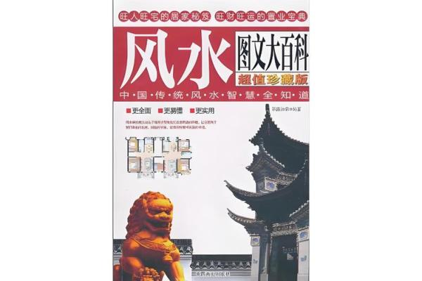 深度剖析大风水师的成功秘诀