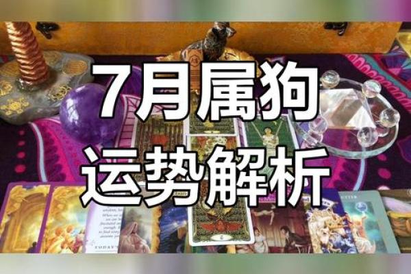 属狗人的月度运势解析