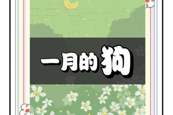 属狗人的月度运势解析
