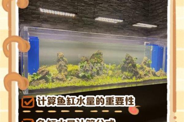 缸的五行属性解析，如何影响你的生活与运势