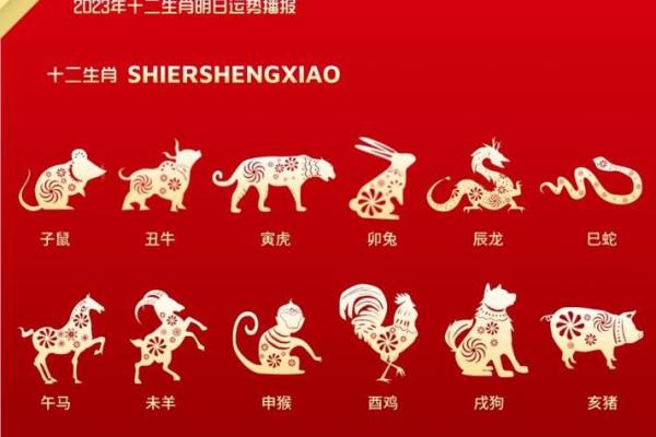 十二生肖每月运程大揭秘，顺利过年运势