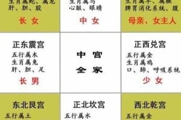 家居风水五大元素解析让家更有能量