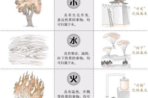 甫五行属什么？揭秘你的命运之源