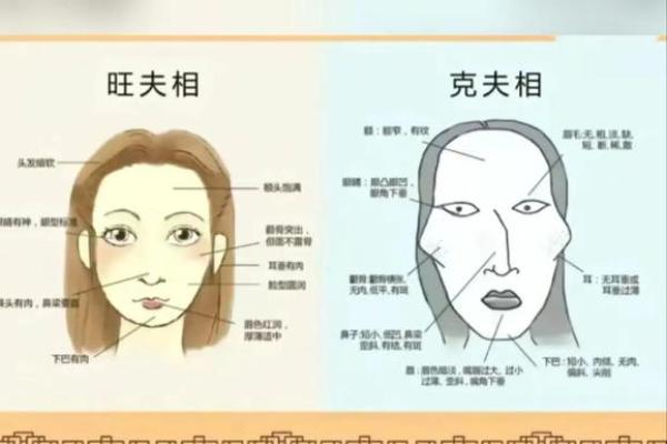 如何理解女命在命理学中的独特定位