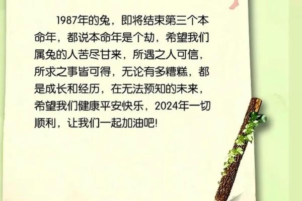 本命年属兔人如何调节家庭关系