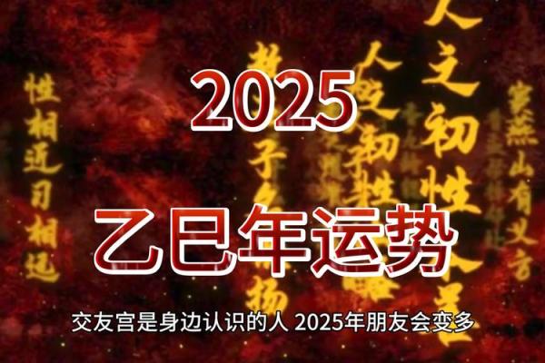 运程解析：新年开局的运势变化