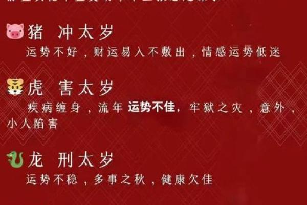 属蛇人如何在本命年找到正确的机会