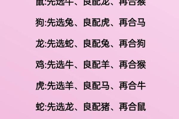 羊与狗的婚姻契合度分析与生活调和秘诀