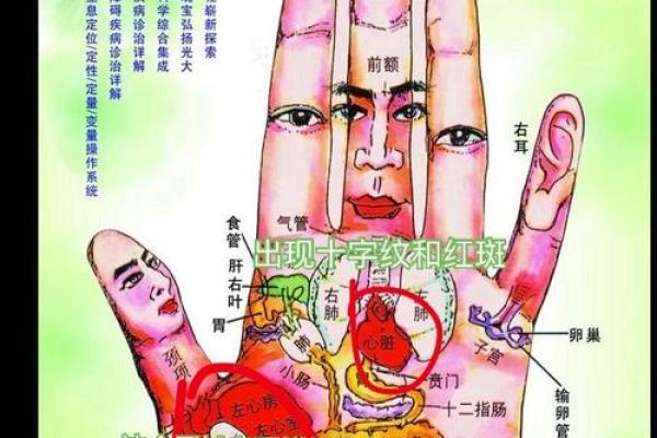 掌纹透露哪些操手心相命显示运的你手是相个特点操分析心命的人