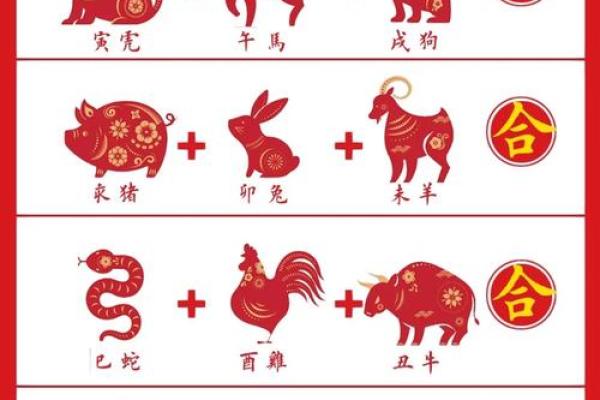 属鸡人的本命年如何选择合适的合作伙伴