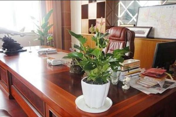 职场风水必备十大办公室摆件推荐