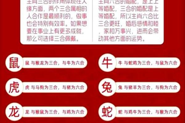 生肖运势：情感运势及人际关系变化