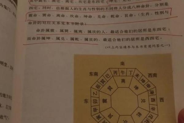 属猴人家居风水布局的巧妙设计与禁忌指南
