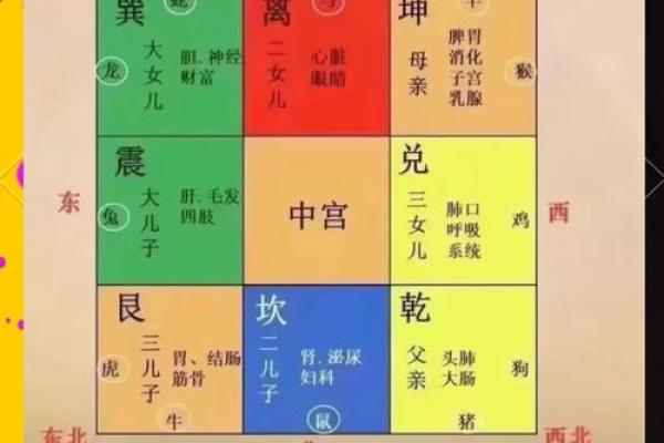 家居风水如何影响病人的健康与康复