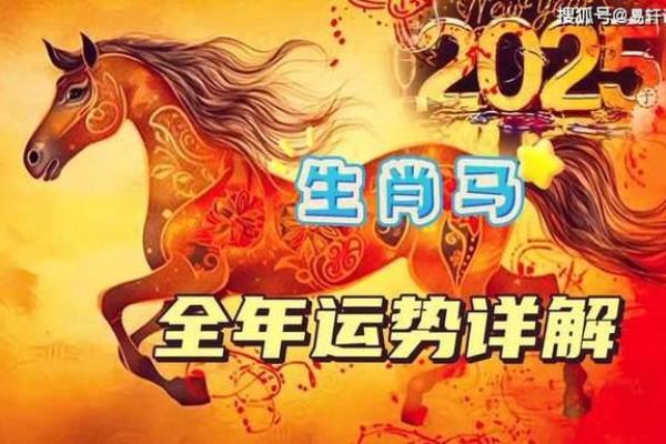 属马人本命年如何突破自己的限制
