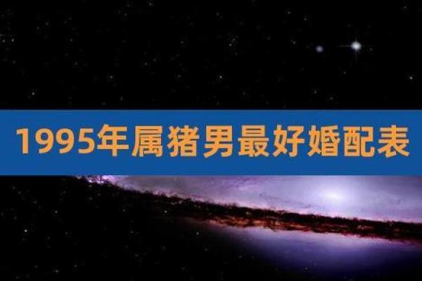 属猪男与属蛇女的爱情匹配度分析