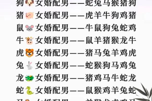 属猪男与属蛇女的爱情匹配度分析