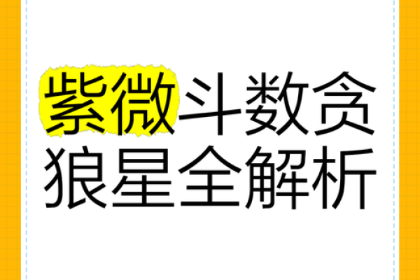 风水中的贪狼与巨门如何影响运势解析