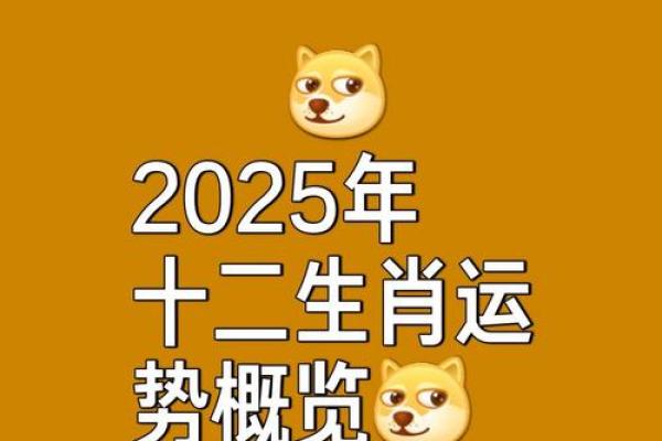 鼠与牛的缘分：它们真的是最佳搭档吗？
