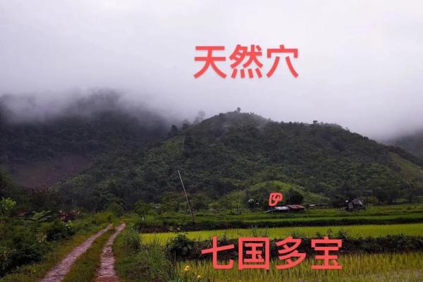 办公窗前风景风水，助你事业飞黄腾达的秘密