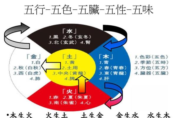 探索头发五行与健康的神奇关系