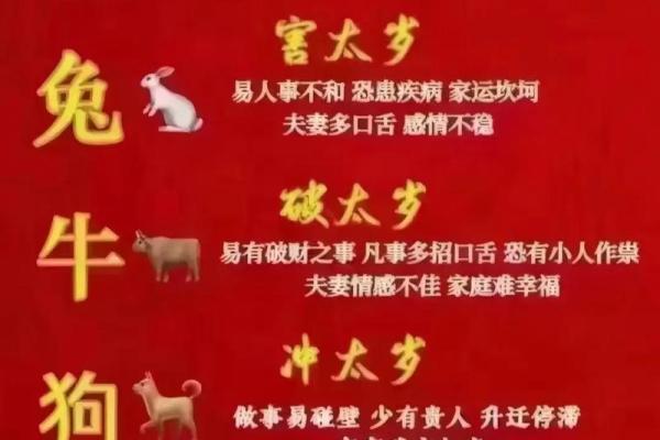 生肖运势排名大揭秘，哪些属相运势最好