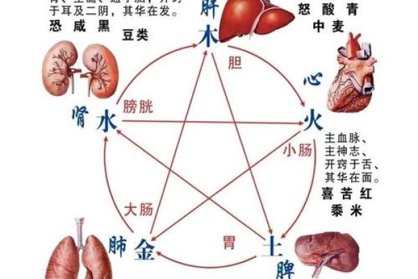 是什么命？五行解析让你更了解自己