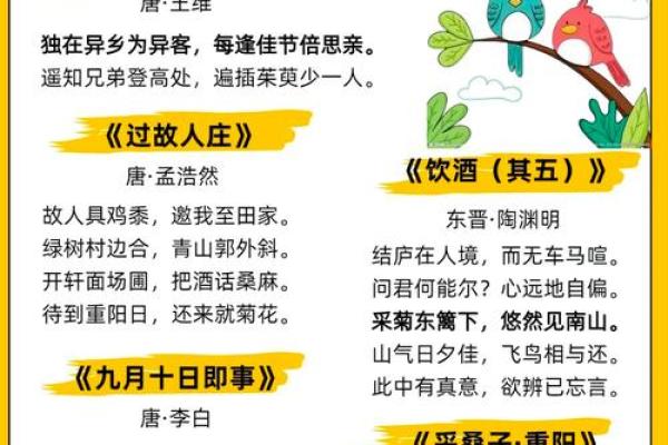 今年重阳节是农历几月初几？了解更多节日信息