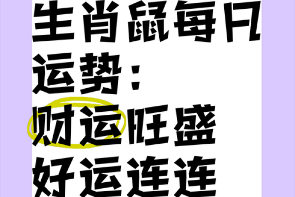 属鼠运程指南：如何提升事业与财运运势