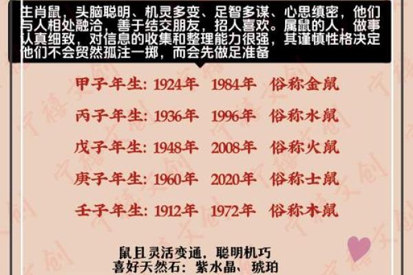 属鼠运程指南：如何提升事业与财运运势