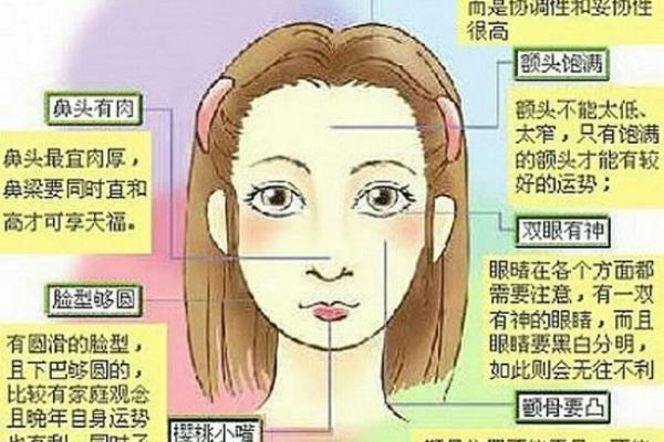 人脸五行学：如何从面相看出你的命运密码