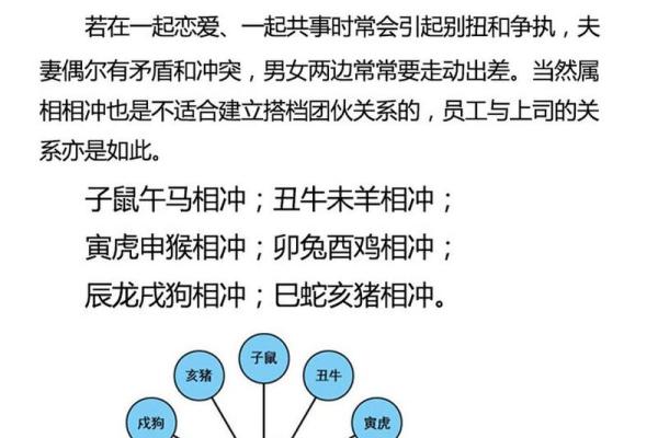 生肖配对：男鸡与女兔的缘分与挑战