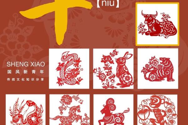 属牛人每月运势详解与注意事项