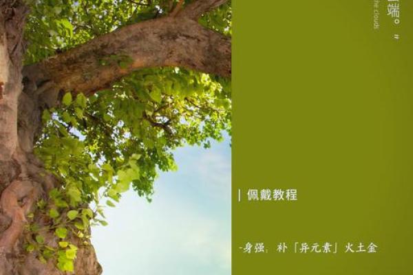探索木家居风水的平衡与能量调和