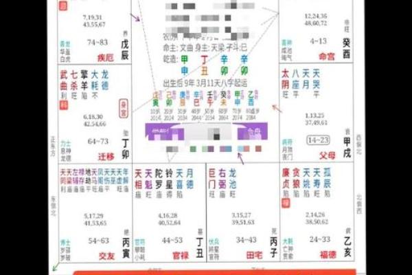 每月运程解析：马年运势逐月变化