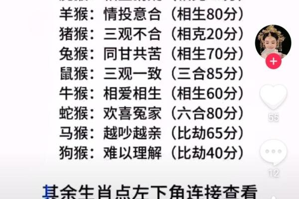 属猴与属兔是否是理想伴侣组合？