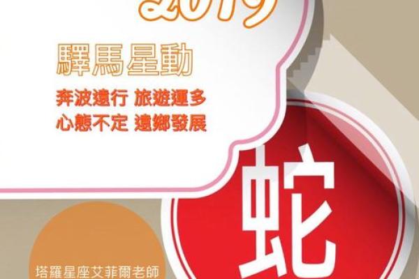 天平运程解析：生肖运势大揭秘