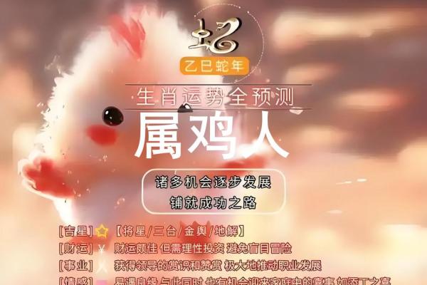 生肖鸡在的运势起伏与应对策略