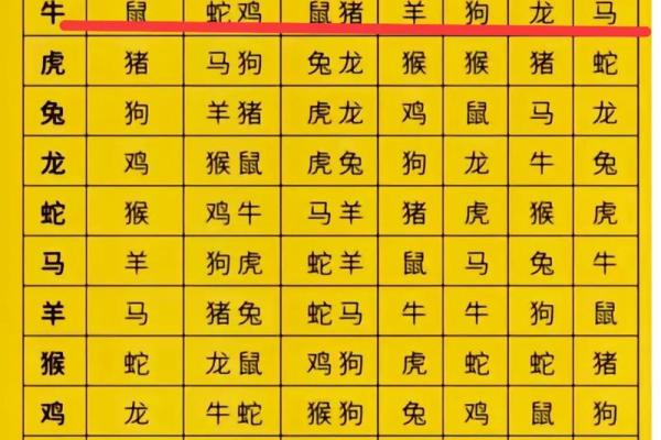 属马女与属牛男：性格差异如何影响关系