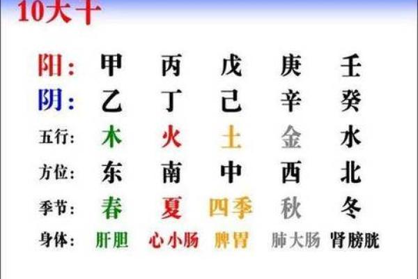 月份的五行密码，揭示你的命运与性格特点
