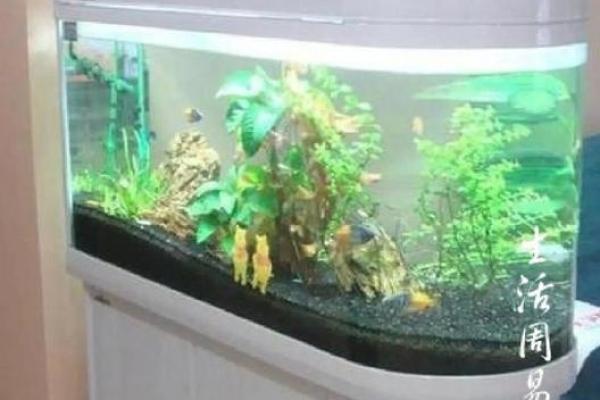 选对风水鱼缸定制 打造临沧家居和谐环境