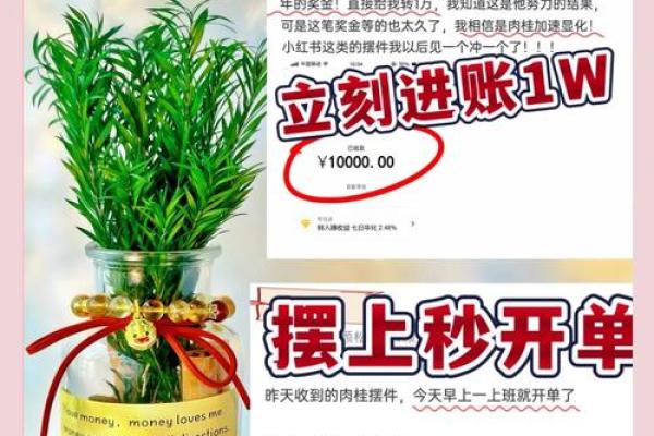 提升财运的招财图片选择指南