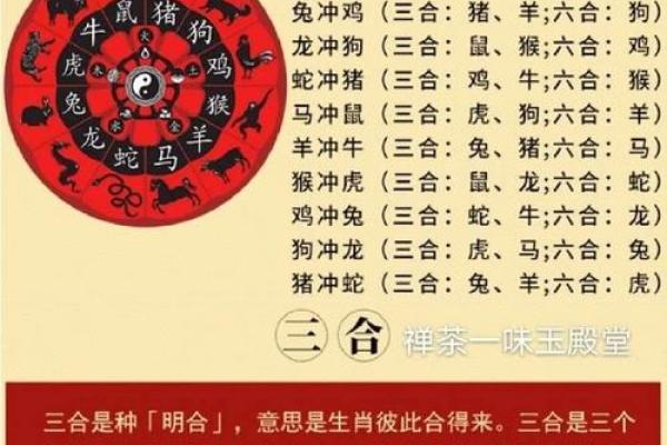 生辰八字与名字合不合？免费打分助你找到答案