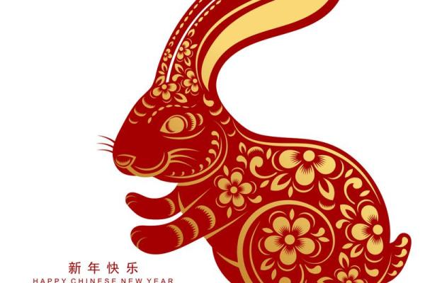 属兔人在本命年如何增强沟通与表达能力
