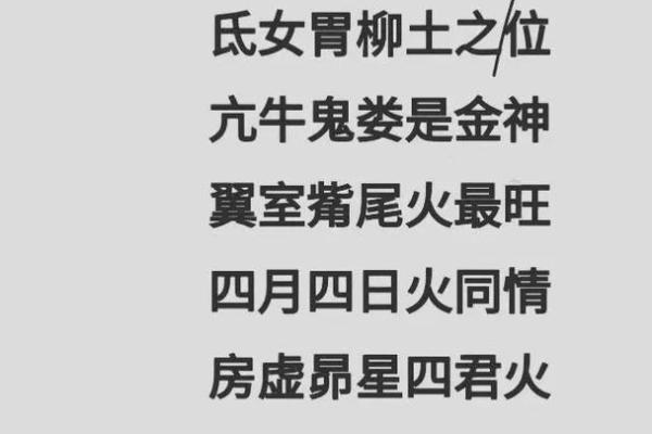 熊字五行属性揭秘：代表什么命运？