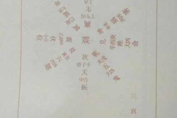 巽命与东四命的深度解析：揭开命理中的神秘面纱